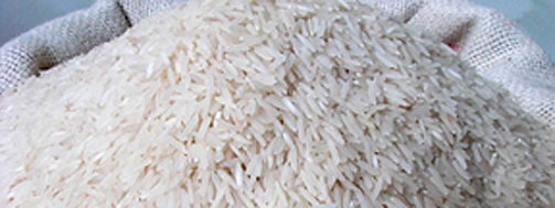arroz-transgenico