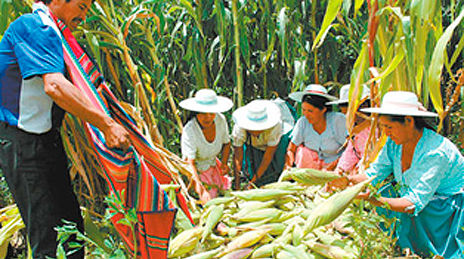 agricultores-bolivianos