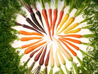 descifran-el-genoma-de-zanahoria