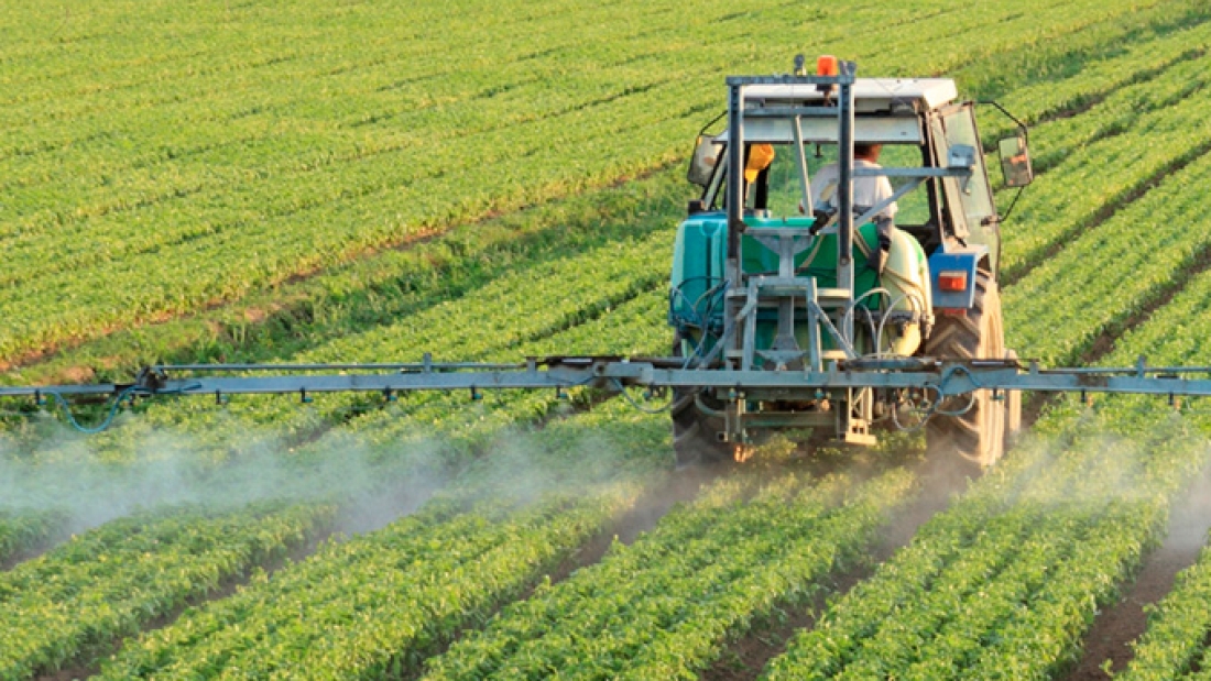 sin-herbicidas-se-perderia-la-mitad-de-la-produccion-de-alimentos