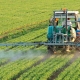 sin-herbicidas-se-perderia-la-mitad-de-la-produccion-de-alimentos