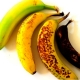 Científicos-desarrollan-plátanos-genéticamente-modificados-con-vida-útil-más-larga
