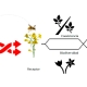 Desarrollan-herramienta-para-estimar-el-potencial-riesgo-de-cruzamiento-entre-cultivos-convencionales,-transgenicos-y-flora-nativa-en-Chile