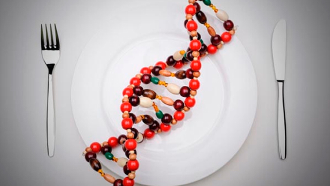 Si-como-transgénicos,-o-un-animal-alimentado-con-transgénicos-Habrá-cambios-en-mi-ADN
