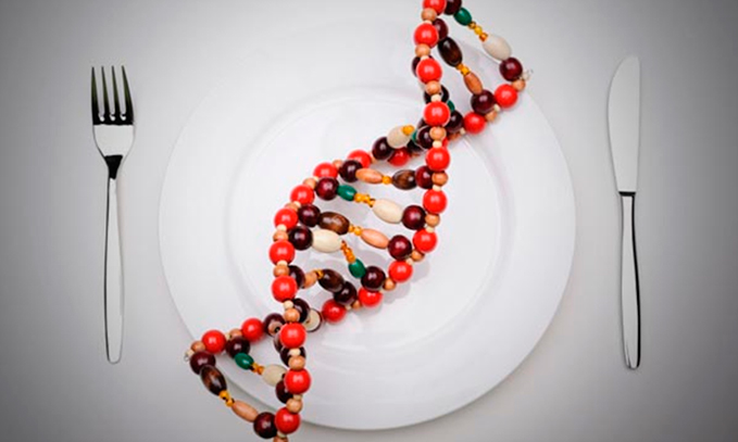 Si-como-transgénicos,-o-un-animal-alimentado-con-transgénicos-Habrá-cambios-en-mi-ADN