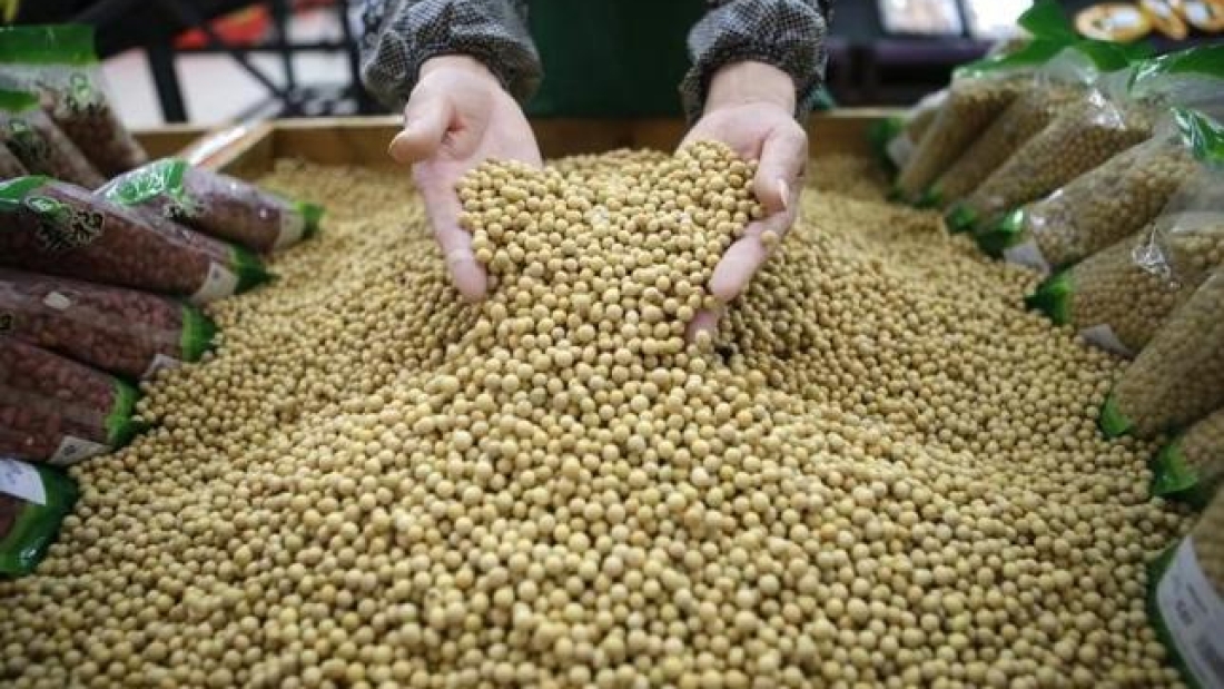 An employee picks out bad beans from a pile of soybeans at a supermarket in Wuhan, Hubei province April 14, 2014. REUTERS/Stringer