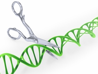 DNA strand cut with scissors - Gene editing conceptual illustration