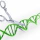 DNA strand cut with scissors - Gene editing conceptual illustration