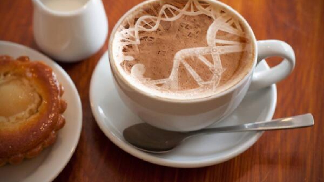 secuencian genoma de cafe