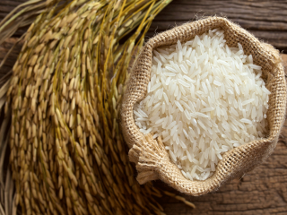 arroz disenado