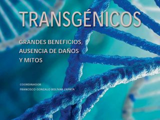 transgenicos
