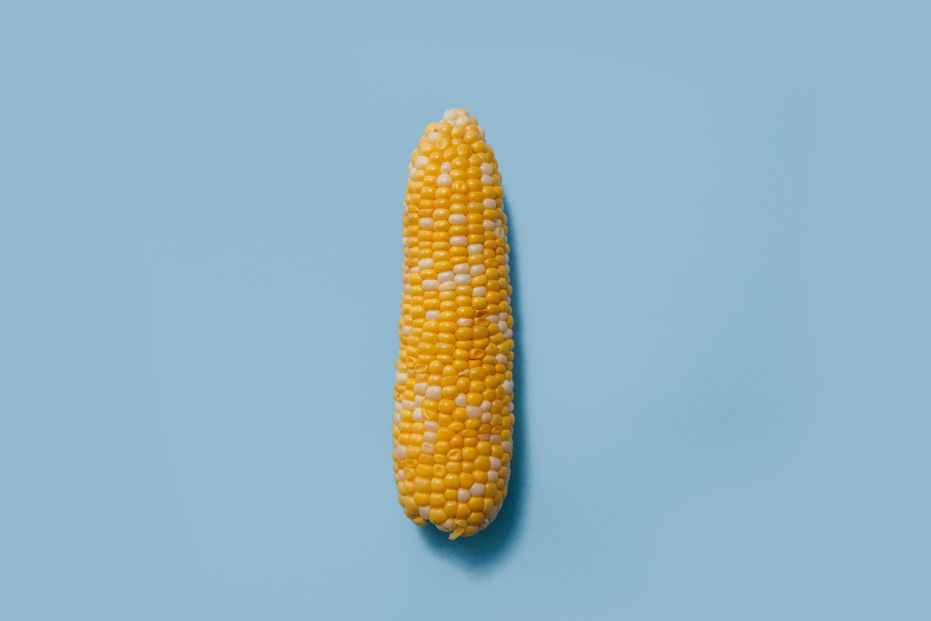Qué es el maíz? ¿Una fruta, una hortaliza o un grano? - ChileBIO