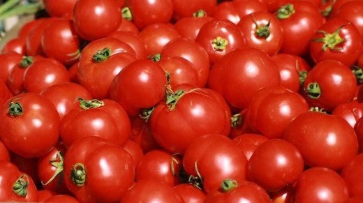 tomate3