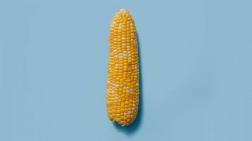 corn6