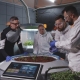 Medium shot of scientists examining seedlings before planting them on a Mars base