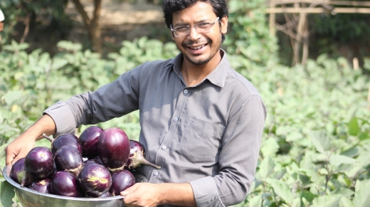 Bt brinjal farmer Khalilur Rahman from Tangail District, with his harvested BARI Bt brinjal 2 variety.