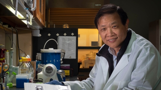 Dr. Liuling Yan working in his genetics lab at the Noble Research Center at Oklahoma State University.