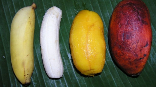 The orange Fei banana known as Karat in the Micronesian island of Pohnpei contains 100 times provitamin A carotenoids than the white Cavendish banana that dominates the export trade.