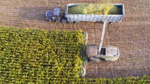 Semi truck and farm machines harvesting corn in Autumn, breathtaking aerial view.