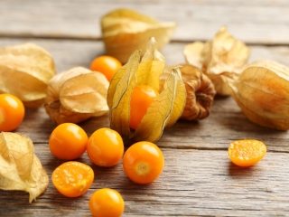 Ripe physalis on a grey wooden table