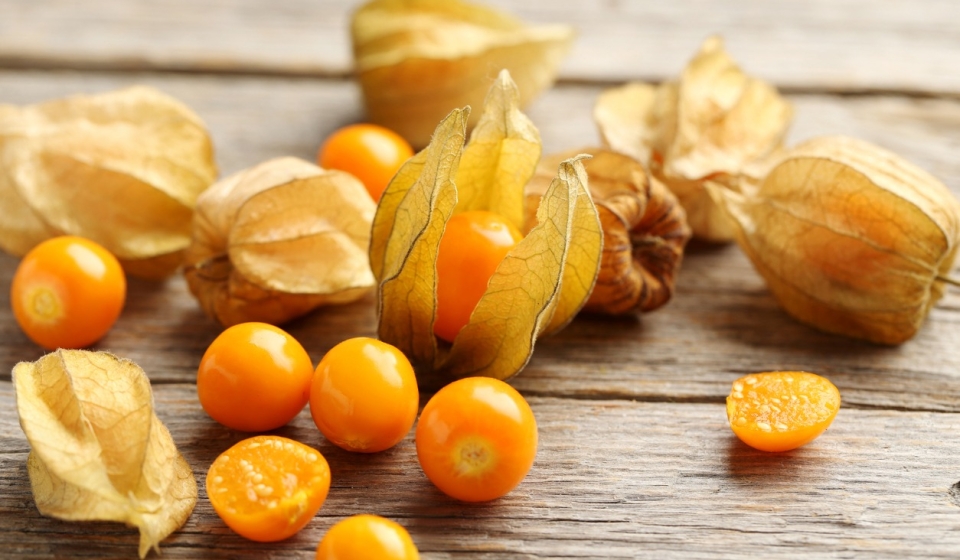 Ripe physalis on a grey wooden table