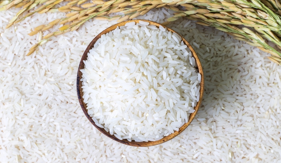 Rice in wooden bowl on rice and  rice ears background, Natural food high in protein.