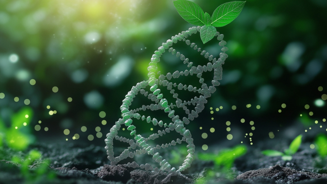 Concept of green biotechnology or synthetic biology, graphic of plant with DNA