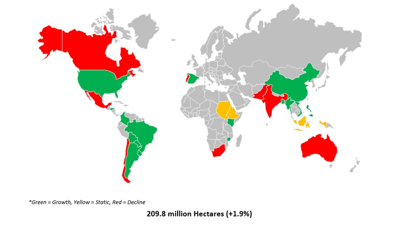 países productores de transgénicos