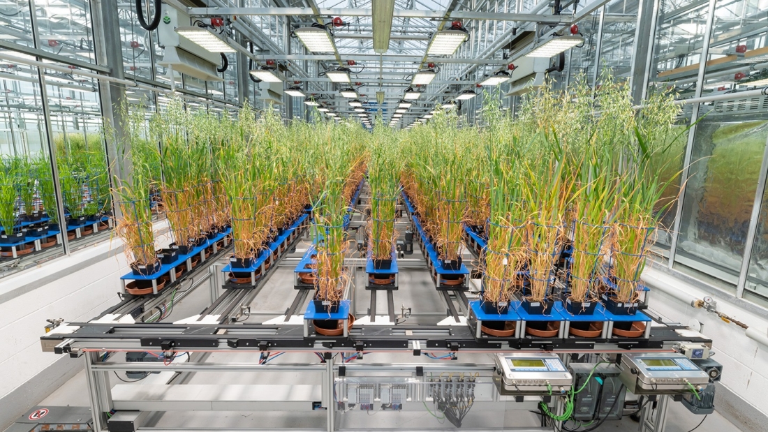 ai_biotech