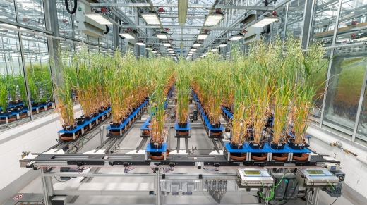 ai_biotech