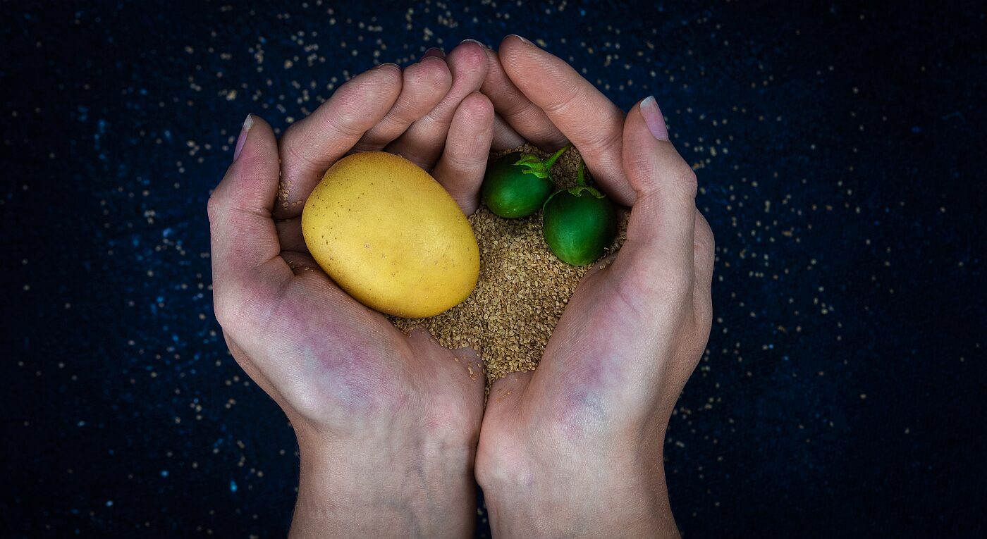 papas de solynta