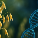 ChatGPT Image Oct 30, 2025, 12_00_05 AM