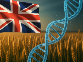 ChatGPT Image Nov 17, 2025, 11_10_17 PM