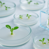 ChatGPT Image Nov 17, 2025, 11_43_15 PM