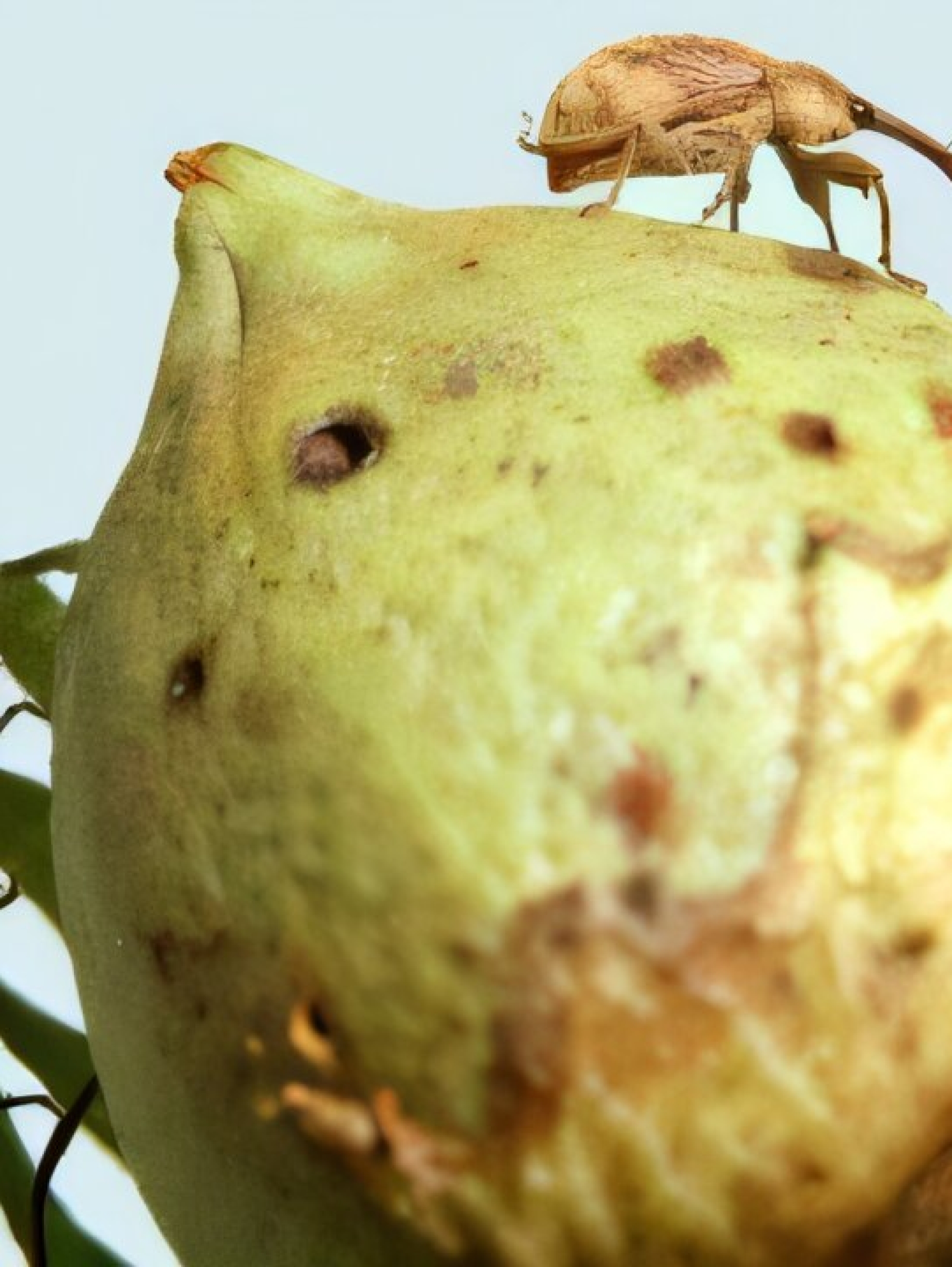 gene-editing-produces-1