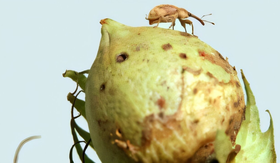 gene-editing-produces-1