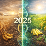 ChatGPT Image 31 dic 2025, 15_02_34