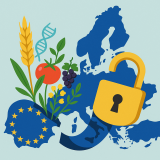 ChatGPT Image Dec 9, 2025, 02_22_23 PM