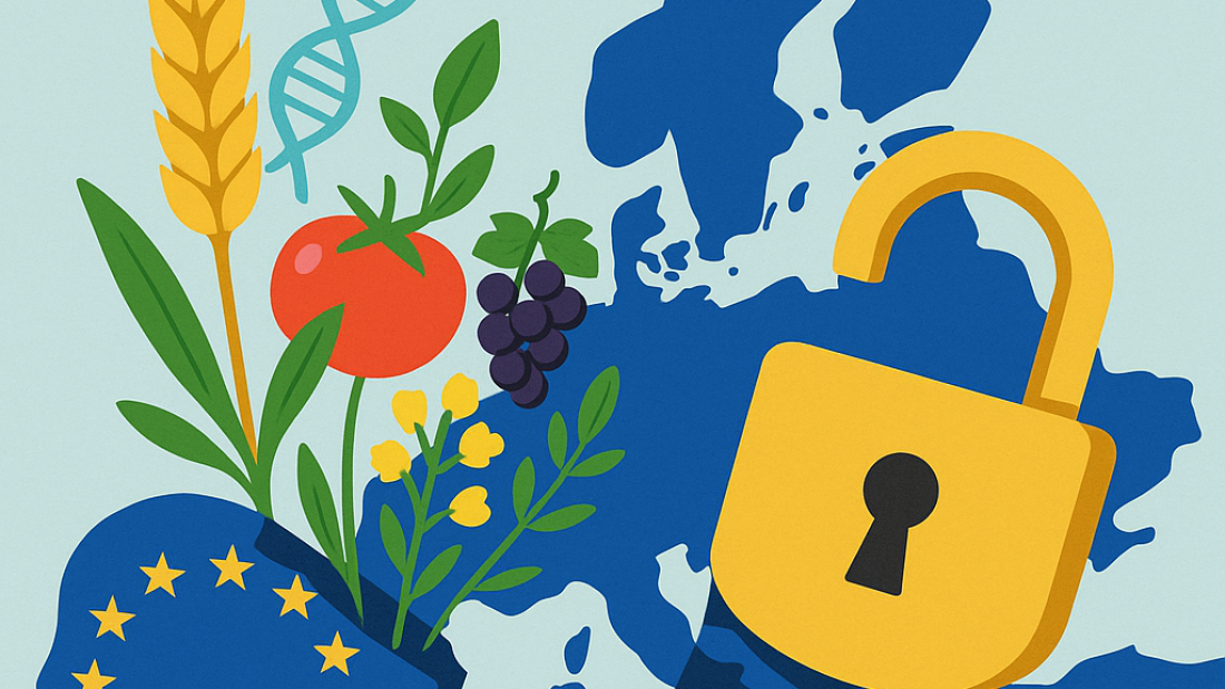 ChatGPT Image Dec 9, 2025, 02_22_23 PM