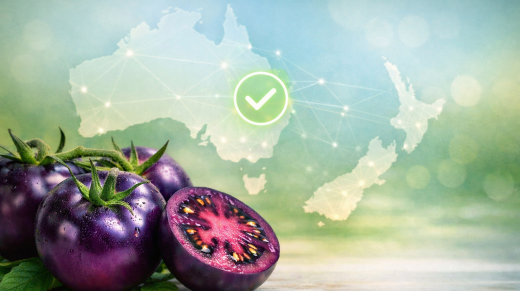 ChatGPT Image 24 ene 2026, 11_27_03 p.m.