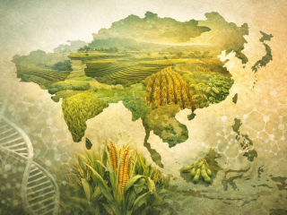 ChatGPT Image 29 ene 2026, 02_04_45 a.m.