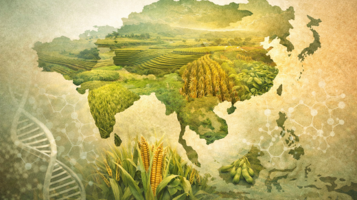 ChatGPT Image 29 ene 2026, 02_04_45 a.m.