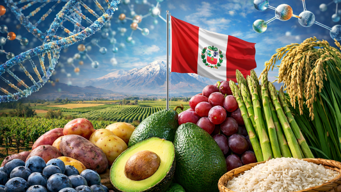 ChatGPT Image 11 mar 2026, 11_28_43 a.m.