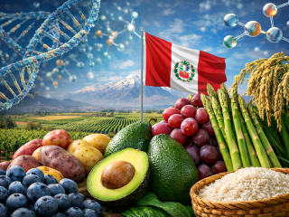 ChatGPT Image 11 mar 2026, 11_28_43 a.m.