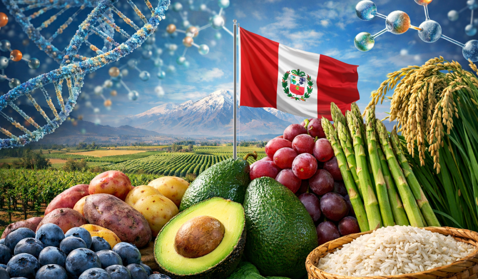 ChatGPT Image 11 mar 2026, 11_28_43 a.m.