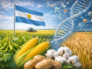 ChatGPT Image 12 mar 2026, 04_51_54 p.m.