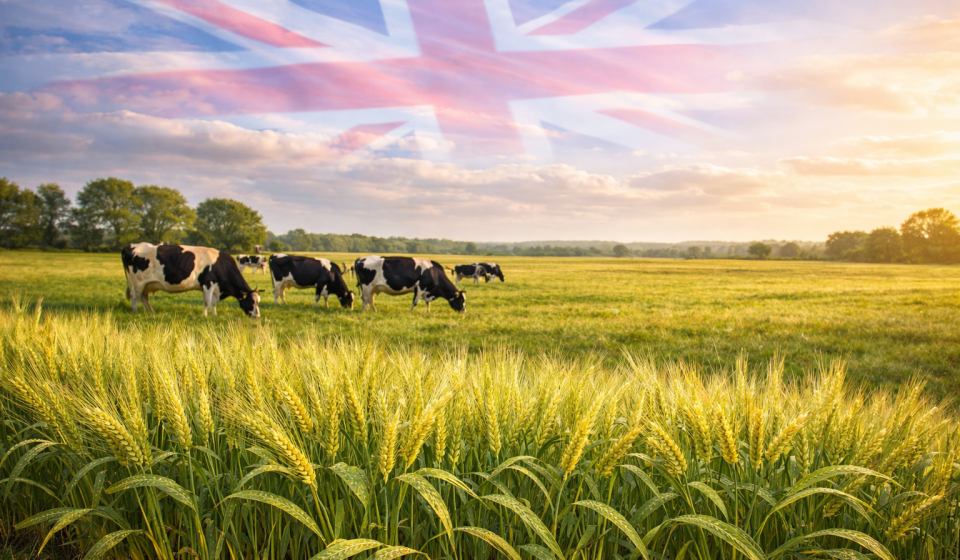 ChatGPT Image 30 mar 2026, 01_24_01 a.m.