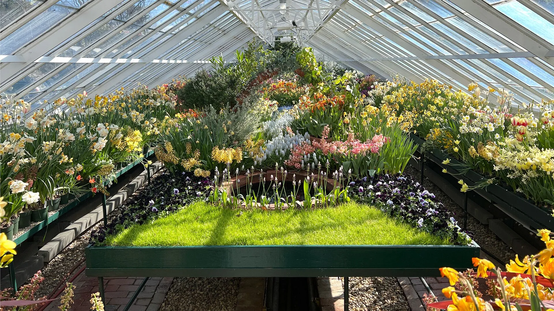 adn ancestral de plantas