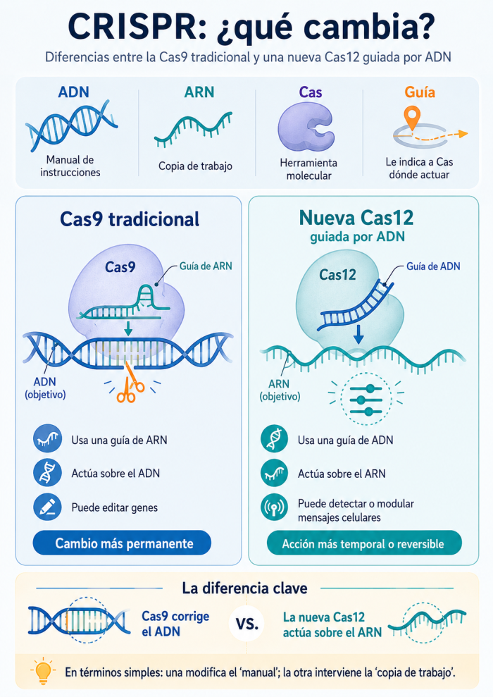 Sistema CRISPR basado en ARN