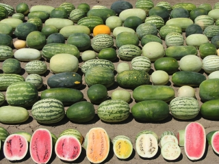 sandías